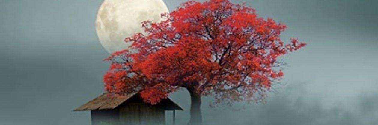 SusanElayne's profile banner image