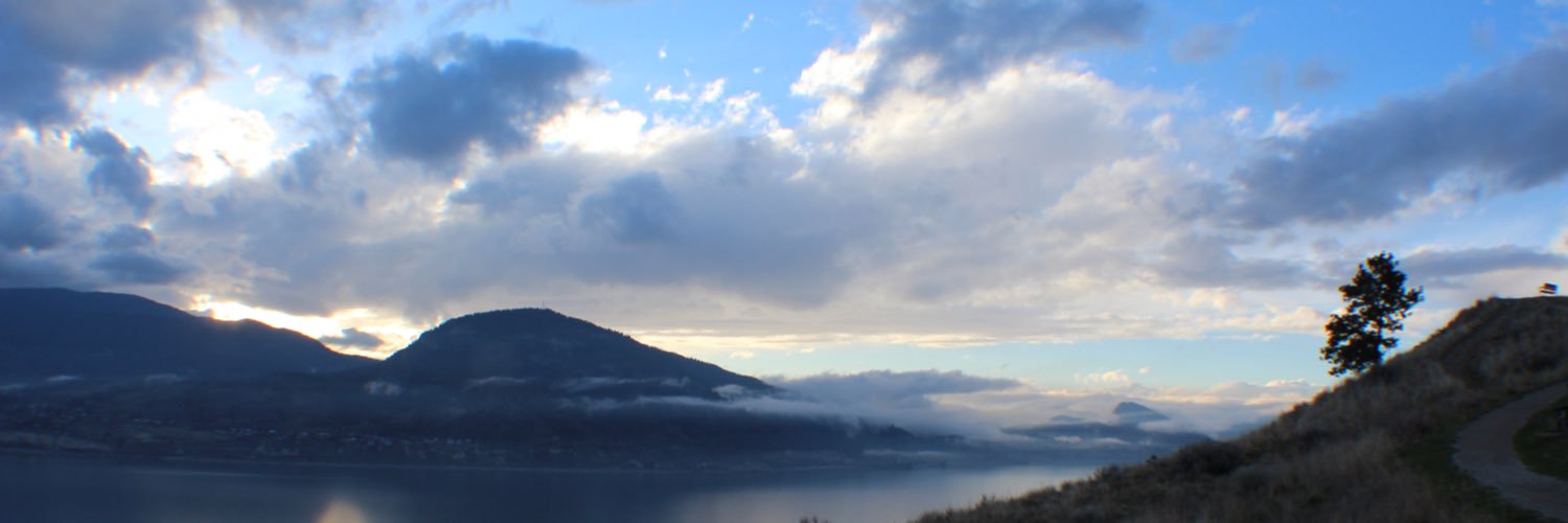 Yetcyna's profile banner image
