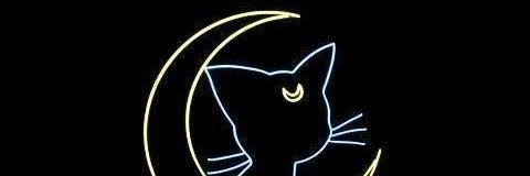 Vanessa Nakamura banner