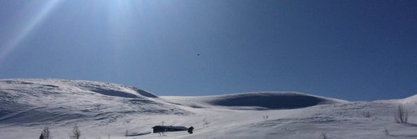 SigneGuro Profile Banner