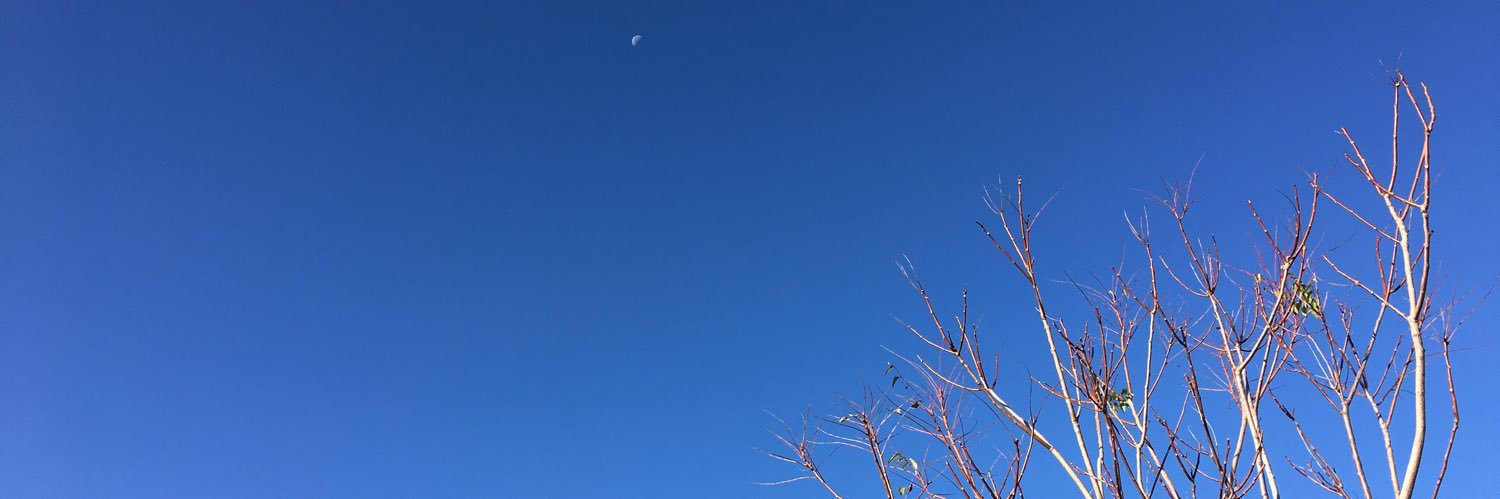 reayka's profile banner image