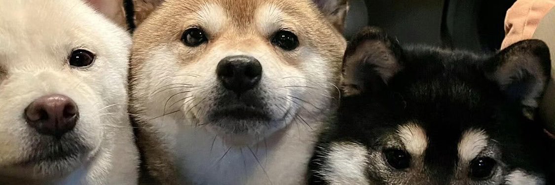 MrLuo77Luo's profile banner image