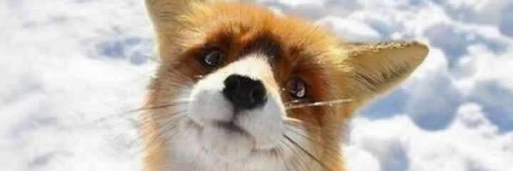 yesrive_7513's profile banner image