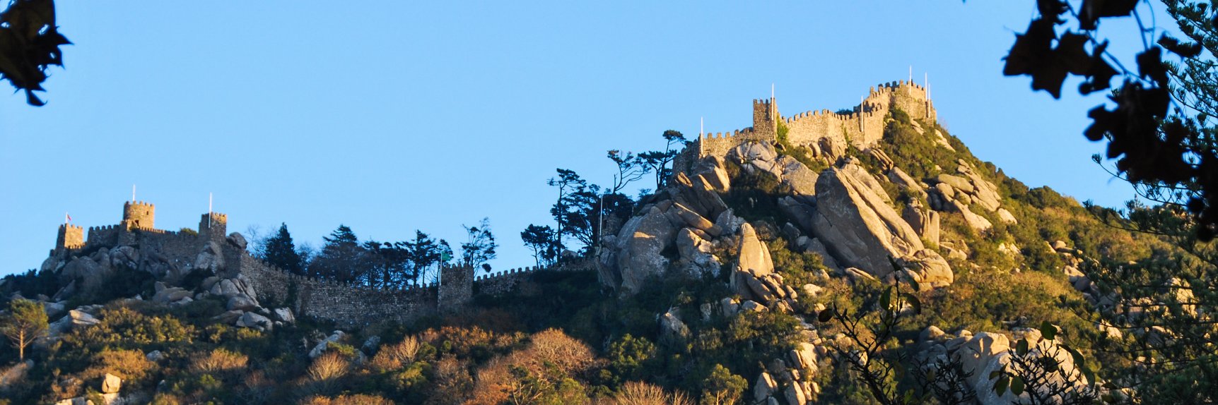 tagusbeer's profile banner image