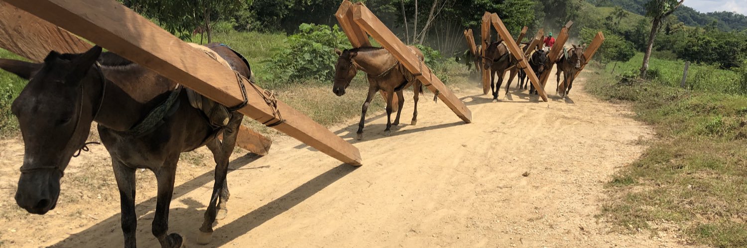 nazih richani banner