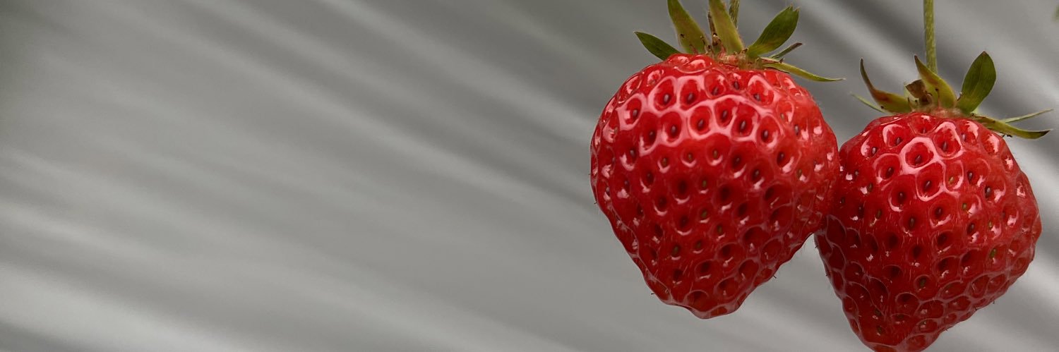 akkokok's profile banner image