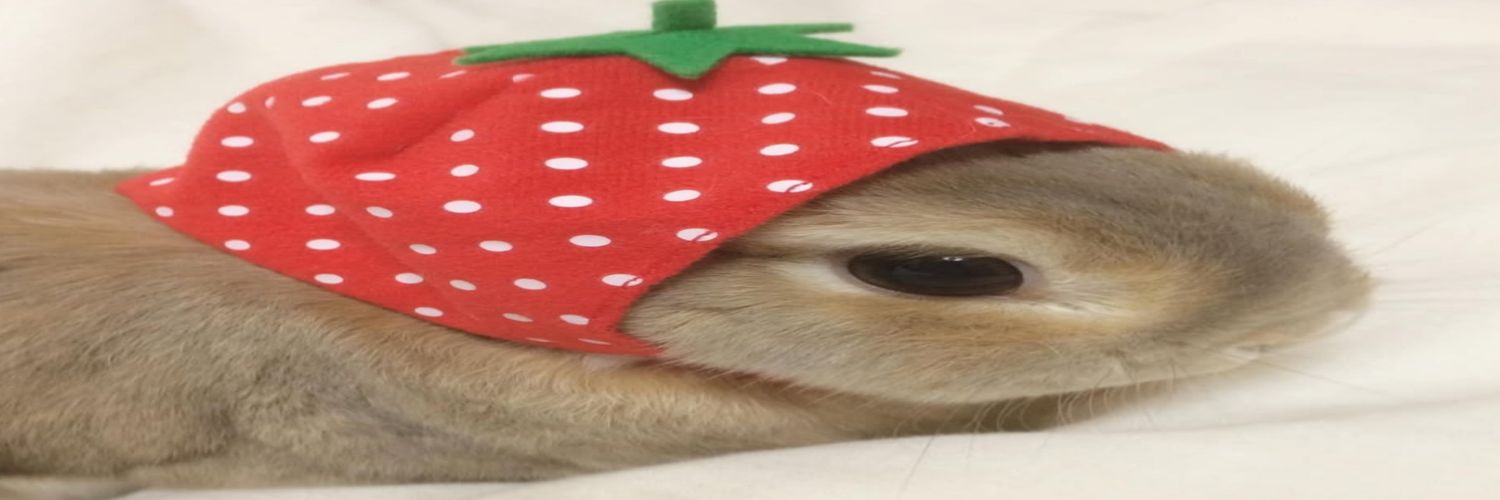 catrecea_'s profile banner image