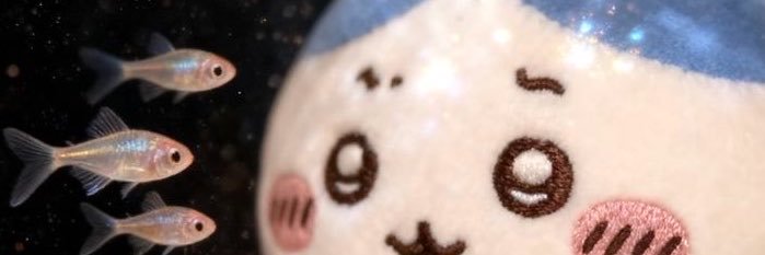 cosykoi's profile banner image