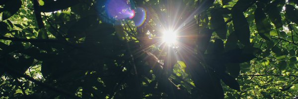 Thenticyuk Profile Banner