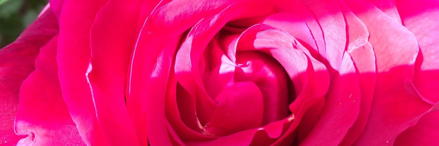 MeaganSimps0n's profile banner image