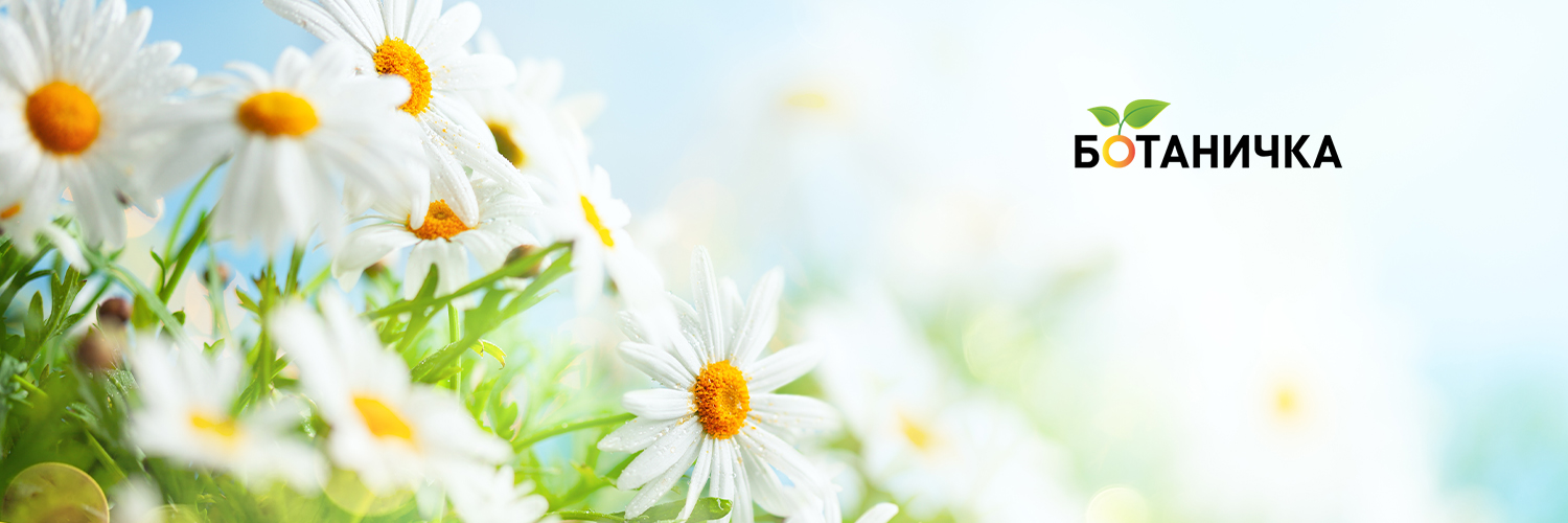Ботаничка banner