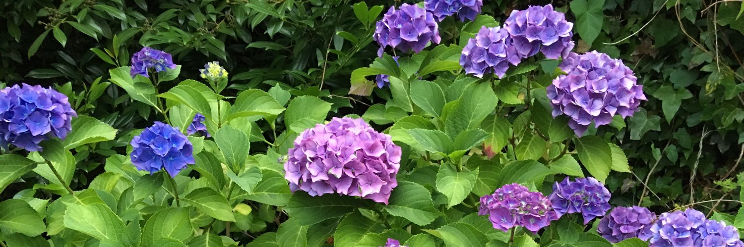 RixtVries's profile banner image