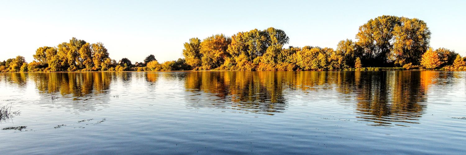 Jean-P. Georges banner