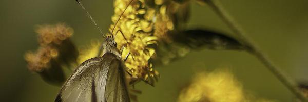 Teeg Profile Banner