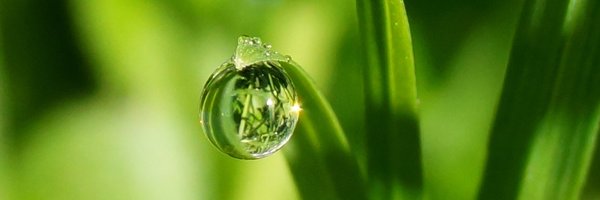 SebyCom Profile Banner