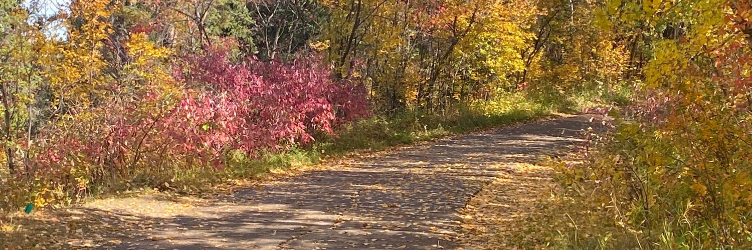 Fit4life🇨🇦🏃‍♀️🚴‍♀️📚🏌️‍♀️🍿💐 banner