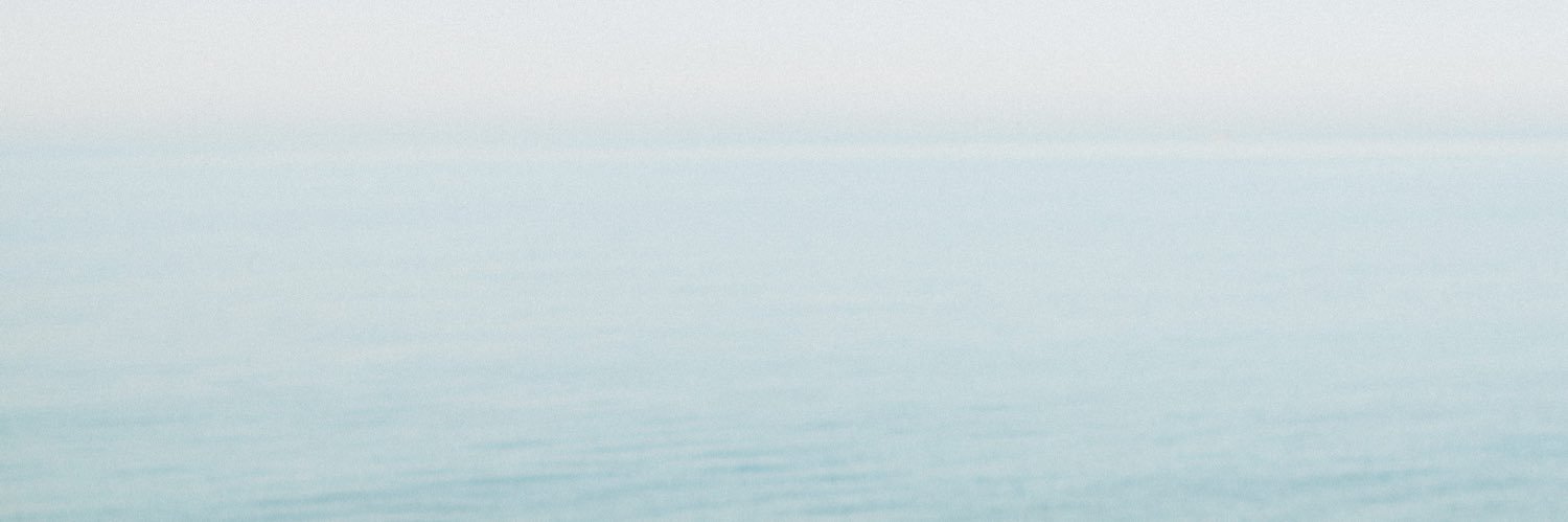ance bush banner