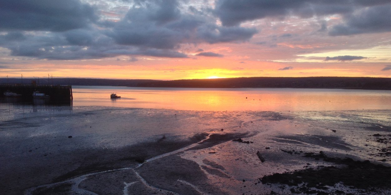 DigbyBackpacker's profile banner image