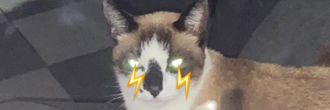 aline banner