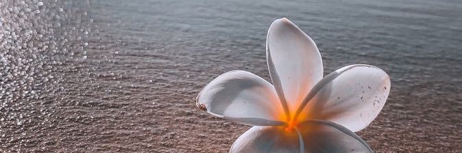 agus_felchlin's profile banner image