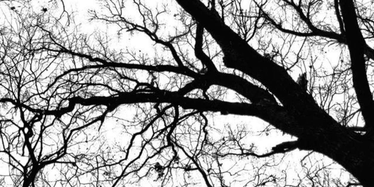 olinsserxxx's profile banner image