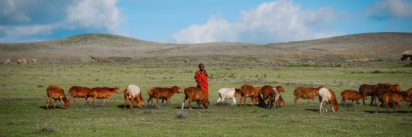 Jan E. Cooper banner