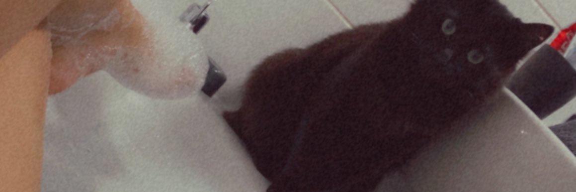tryitoutonme_'s profile banner image