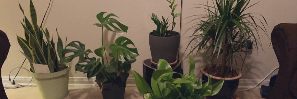 Vincent Phillips banner