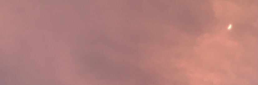 1448Dodon's profile banner image