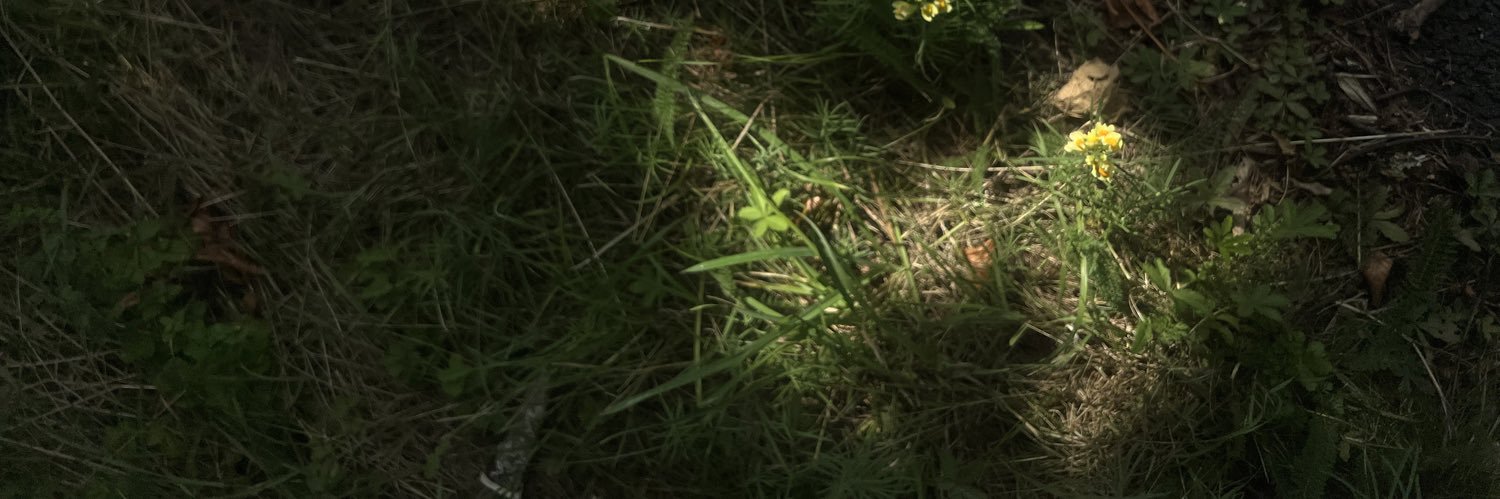 Gill Fraser Lee banner