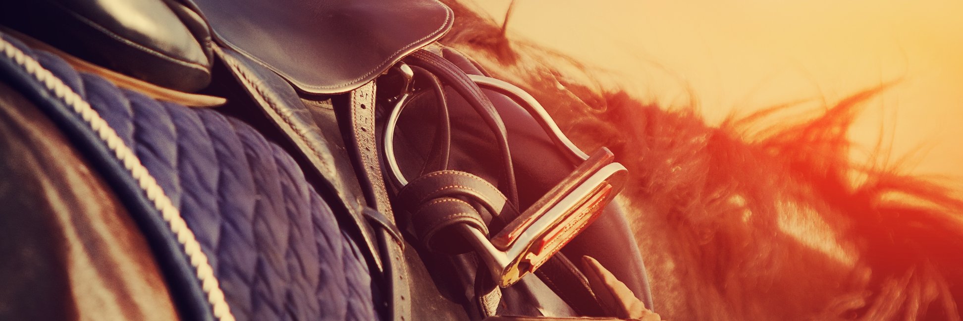 EquestFile's profile banner image