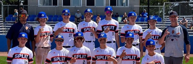 Splitfinger Baseball banner