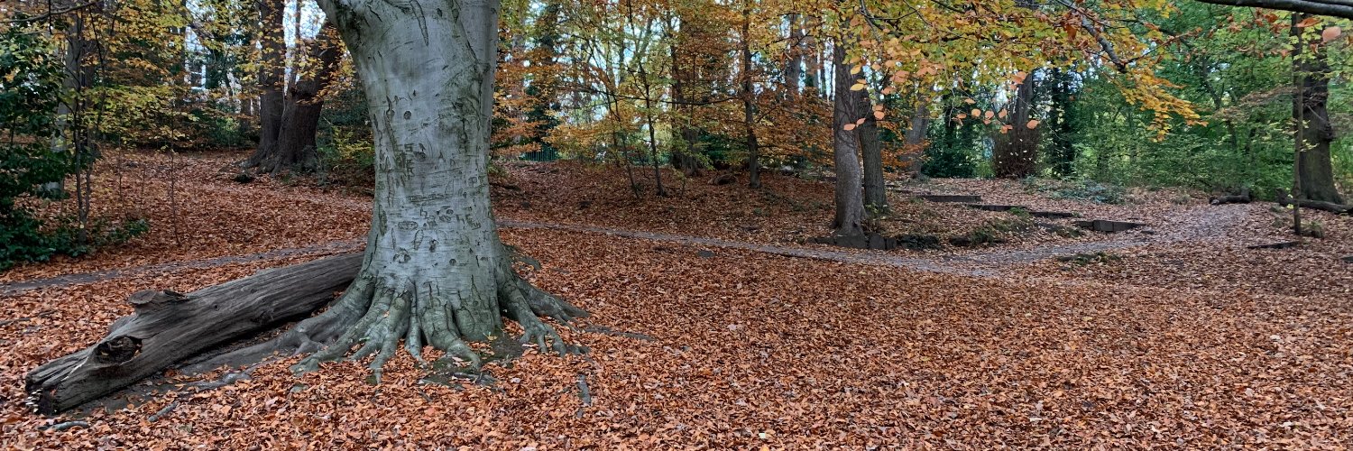 Michael Makris banner