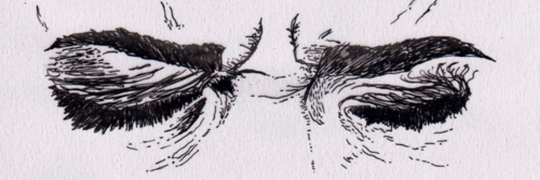 siBahree's profile banner image