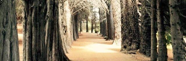 MicaelaCapri's profile banner image