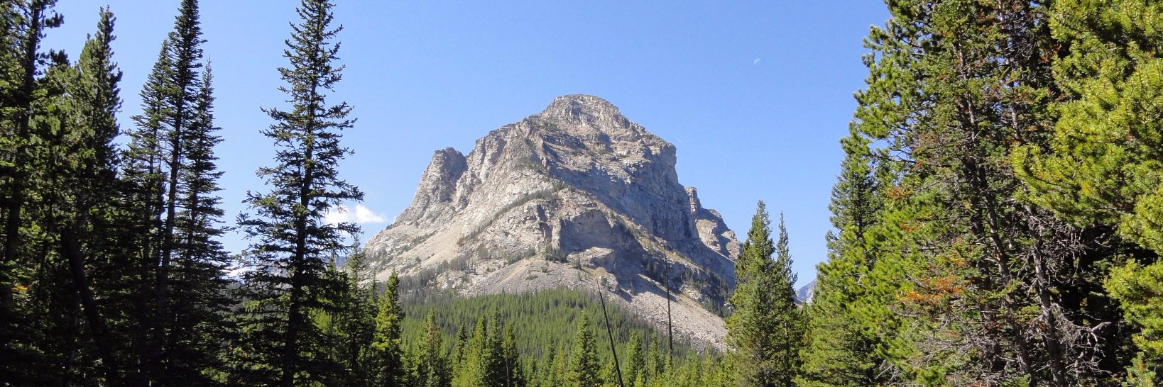 William Stearns banner