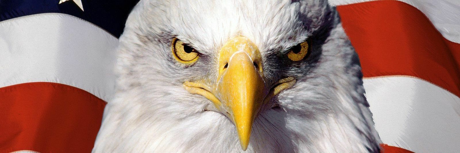 USA Drinking Team banner