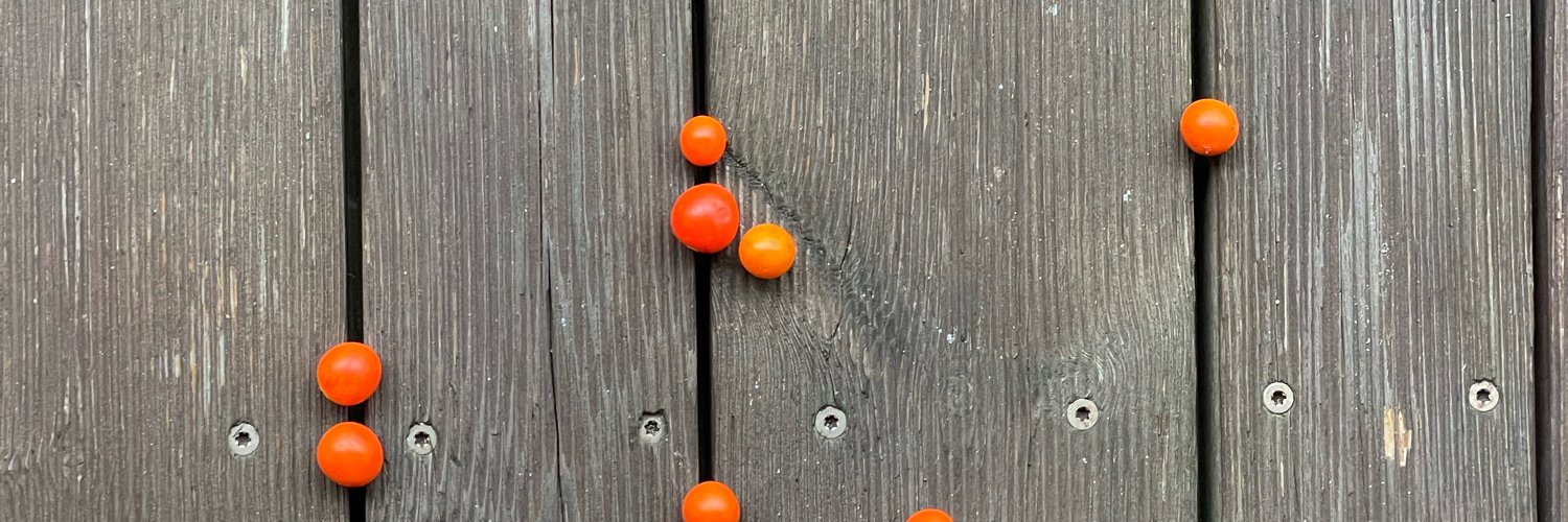 @_o@chaos.social 🪡🧩 banner