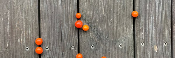 line_o Profile Banner