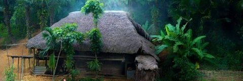 Tiyanlover banner