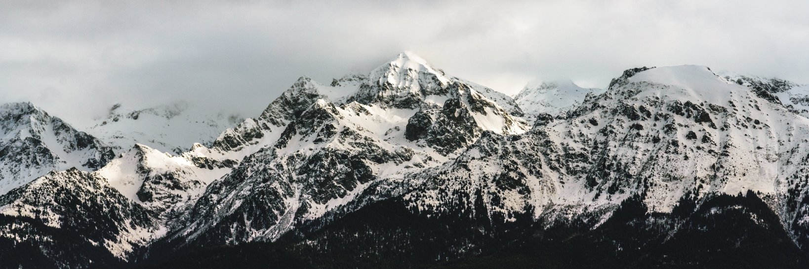 Speny_eth's profile banner image