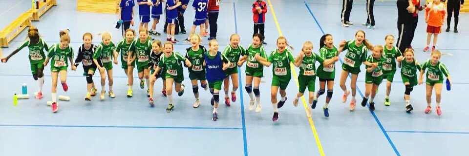 Amanda Terring Högdahl banner