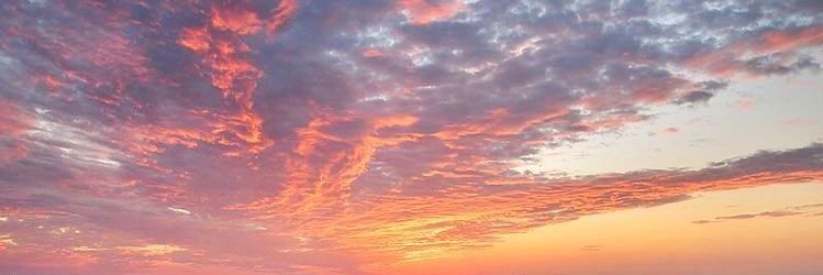 CARMEN♀️💜 banner