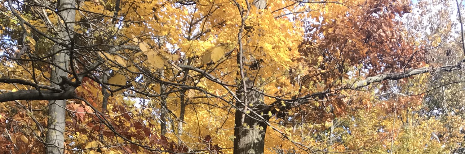 Stephanie G Worrell, MD FACS banner