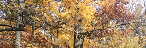 sgworrell Profile Banner