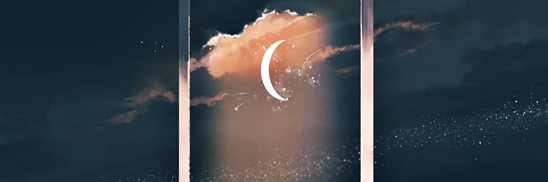 wfanany's profile banner image