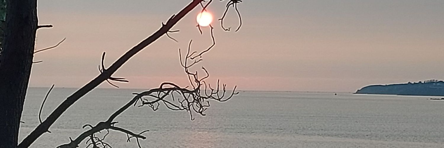 paololena's profile banner image