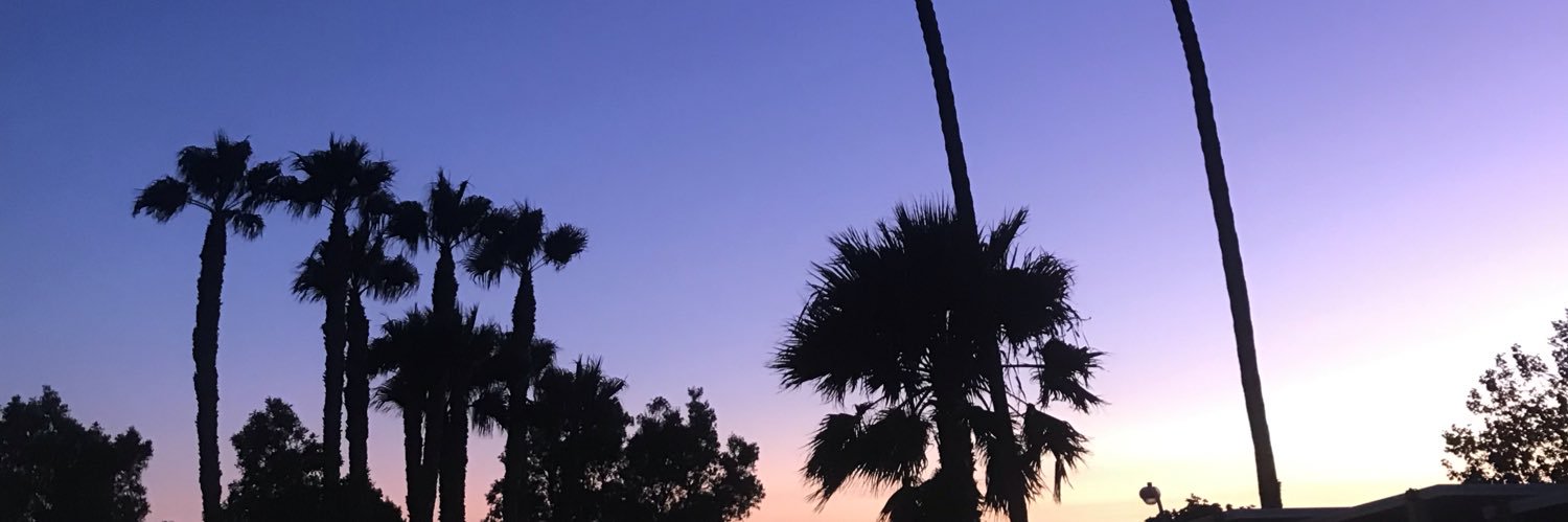 cezhanns's profile banner image