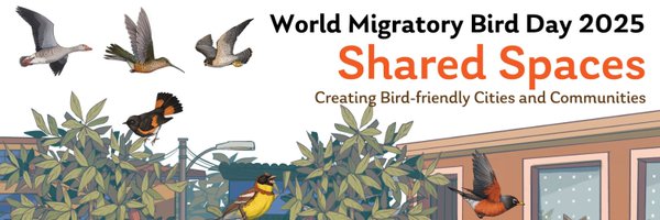 WMBD Profile Banner