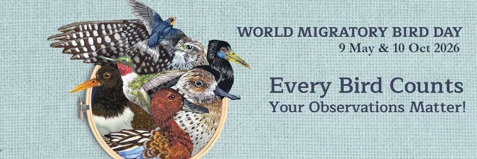 World Migratory Bird Day banner